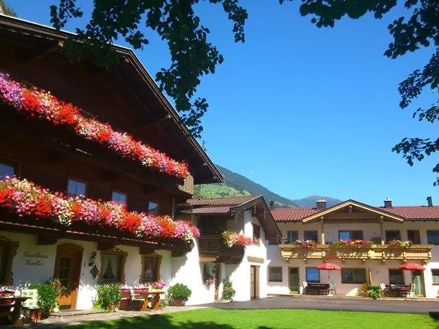 Gredler Tatil Evi Mayrhofen